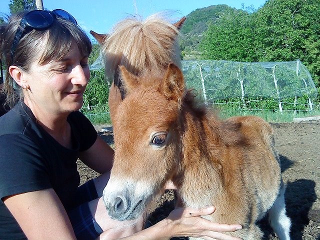 gite famille poneys piscine veynes buech hautes alpes