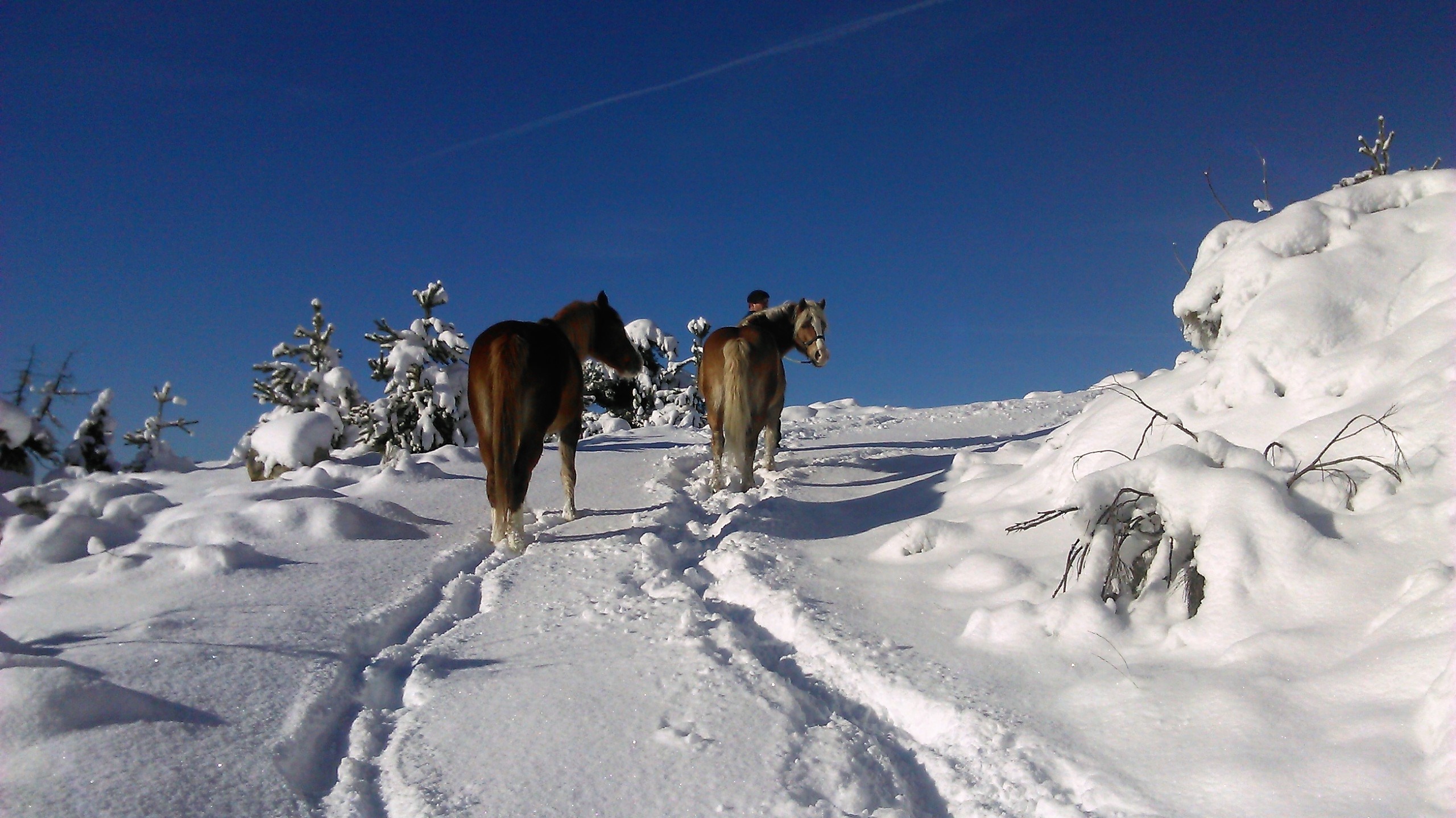 gite pleine nature veynes buech hautes alpes