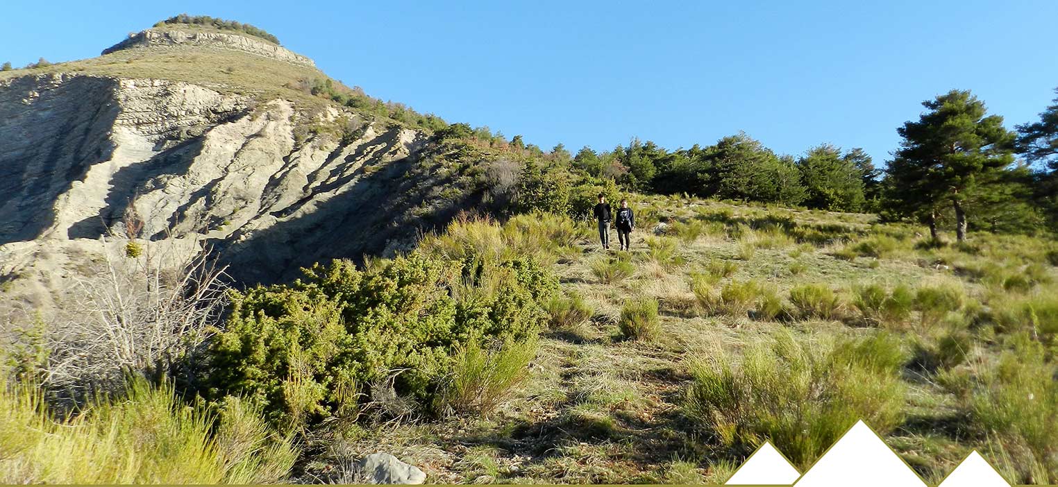 La région et ses activités